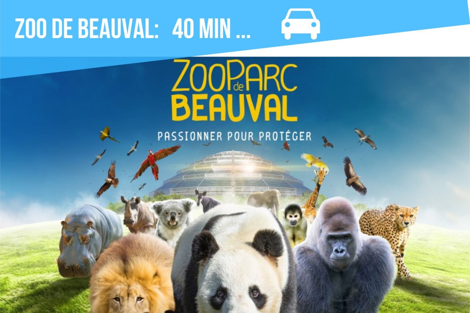 chambord-le-coffre-fort-le-coffre-fort-chambord-clos-de-cahmbord-caporizon-location-saisonniere-air-bnb-booking-7