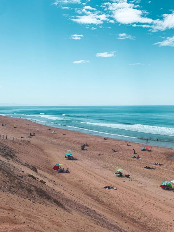 people in sea shore under blue sky