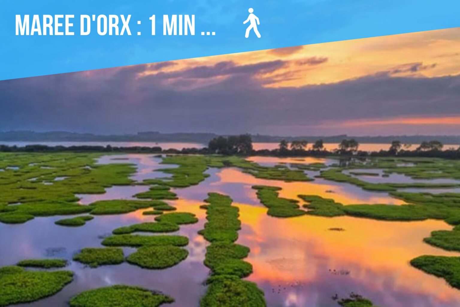 xr:d:DAFr-TB7d24:24,j:1870519943310683410,t:23081910